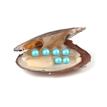 2019 Sextuplets Perle din Scoici de apă Dulce Cultivat Dorința de Dragoste Stridii Perla cu 6-7 mm Runda Pearl în Interiorul Cadou de Ziua de nastere